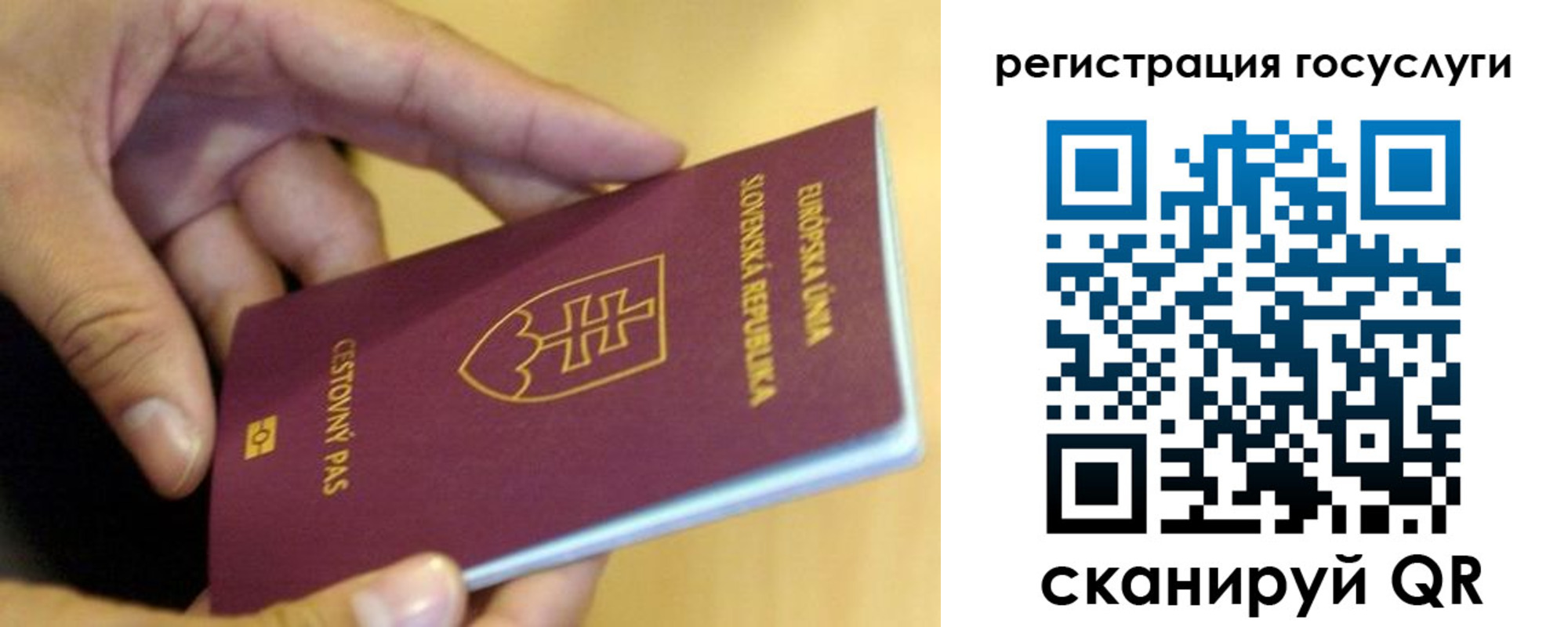 прописка в квартире в Александрове